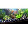LEDlife aquarium T8-Pro120 - 18W LED buis, 12000K, 120 cm