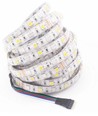 5m 12W/m RGB+WW LED-strip - 12V, IP65, 60 LEDs per meter