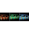 5m 12W/m RGB+WW LED-strip - 12V, IP65, 60 LEDs per meter