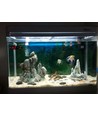 1 meter 16W Waterdicht aquarium alu-profiel - 24V DC, 10000K, IP65, met stekker