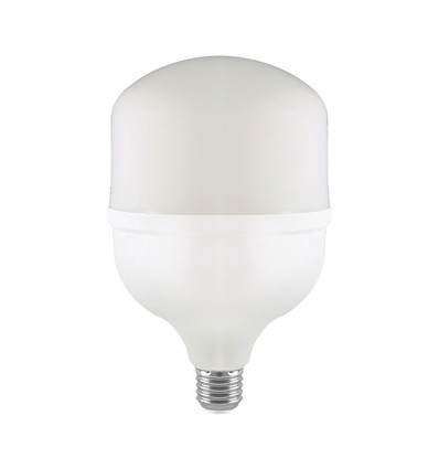 E27 60W LED-lamp - T160, met E40-fittingadapter