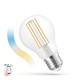 5W Smart Home LED-lamp - Tuya/Smart Life, werkt met Google Home, Alexa en smartphones, A60, E27