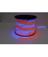 5m 12W/m RGBIC LED-strip - 230V, IP65, 60 LED's per meter