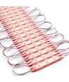 1,1W per stuk Waterdichte rode LED-module - 12V DC, IP66, perfect voor borden en speciale oplossingen