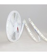 5m 12W/m LED-strip RA97 - 24V DC, IP20, 120 LED's per meter