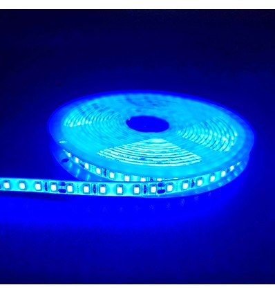5m 10W/m Blauwe LED strip - 24V DC, IP65, 120 LED's per meter
