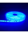 5m 10W/m Blauwe LED strip - 24V DC, IP65, 120 LED's per meter