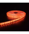 5m 10W/m Oranje LED-strip - 24V DC, IP65, 120 LEDs per meter