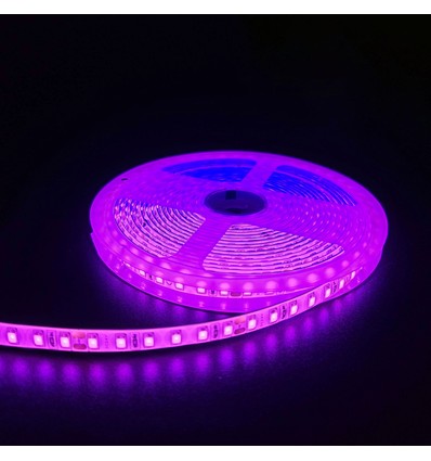 5m 10W/m Roze LED-strip - 24V DC, IP65, 120 LED's per meter