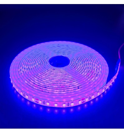 5m 10W/m Paarse LED-strip - 24V DC, IP65, 120 LED's per meter