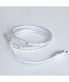 5m 10W/m waterdichte LED-strip (Type X-2) - 230V, IP67, 1300lm/m
