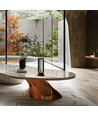 Outlet: Bloemenvase met LED-licht Binnen/buiten - Zwart, dimbaar, IP54 buiten