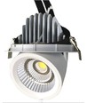 30W Vlees Downlight - Verstelbare hoek, speciaal licht voor vlees