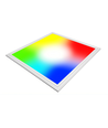 60x60 Wifi RGB+CCT LED-paneel, 36W - Witte rand