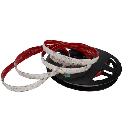 LightMore LED Strip 24V, 19,2W/m in RGB+3000K, Ra95, IP65 - 5 meter