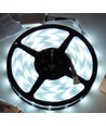 5m 12W/m RGB+CW LED-strip - 24V DC, IP65, 60 LED's per meter