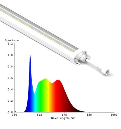 LEDlife 50W Philips LED groeilamp - 112,5 cm, RA95, volledig spectrum, IK05, IP65