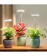 LEDlife plantlicht met pin - 12W, timer, dimbaar, verstelbare hoogte