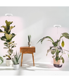 LEDlife plantlicht met pin - 12W, timer, dimbaar, verstelbare hoogte