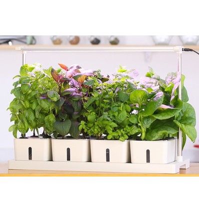 LEDlife hydroponische plantenbak - Wit, incl. groeilamp, 20 plaatsen, 4x2L watertank