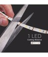 1m 2,4W/m spatwaterdichte LED-strip - 6V DC, IP65, PIR-sensor, batterij, 30 LED's per meter