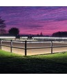 5m 10W/m waterdichte LED-strip (Type X-2) - 230V, IP67, 1300lm/m
