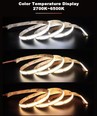 5m 10W/m CCT COB-LED strip RA97 - 24V DC, IP20, 512 LED
