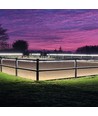 5 m waterdichte Neon COB-strip voor buitenrijbaan - 230V, IP67, 288 LED, 11,5W/m, kan om de 10 cm worden geknipt
