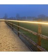 5 m waterdichte rijbaanstrip (Type Q) - 230V, IP67, 120 LED, 6W per meter