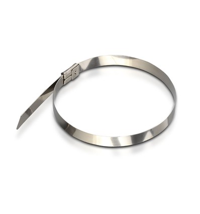 RVS Kabelbinders, 100 stuks - Breedte 4,6 mm, 25 cm