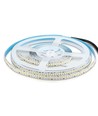 240 LED Strip Licht 20W/m - 6000K, Hoge Lumen, IP20, 5m/rol