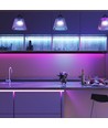 5m RGB+CCT 24W/m LED-strip - RGB+2700-6500K, IP65, 24V
