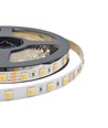 120 LED Strip Licht - 14W/m, CCT 3-in-1, IP65, 24V