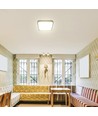 48W vierkante LED plafondlamp - 42 x 42cm, IP44, zwarte rand, Samsung chip, 5 jaar garantie
