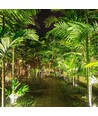 12W LED prikspot - IP65, Groen licht, witte behuizing, aluminium