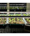 LEDlife Pro-Grow 2.0 groeilamp - 90 cm, 15W LED, volledig spectrum, IP65
