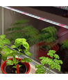 LEDlife Pro-Grow 2.0 groeilamp - 90 cm, 15W LED, volledig spectrum, IP65