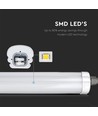 120cm 36W waterdicht compleet LED-armatuur, doorvoerbedraad - 4320lm, 120lm/W, IP65