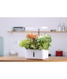 LEDlife hydroponische moestuin - Wit, incl. kweeklamp, 10 plaatsen, timer, 2,8L watertank