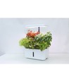 LEDlife hydroponische moestuin - Wit, incl. kweeklamp, 10 plaatsen, timer, 2,8L watertank
