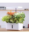 LEDlife hydroponische keuken tuin - Wit, incl. groeilamp, 8 plaatsen, timer, 2,8L watertank