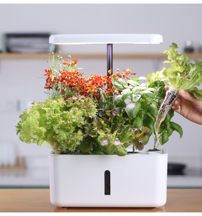 LEDlife hydroponische moestuin - Wit, incl. kweeklamp, 10 plaatsen, timer, 2,8L watertank