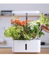 LEDlife hydroponische moestuin - Wit, incl. kweeklamp, 10 plaatsen, timer, 2,8L watertank