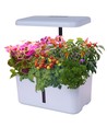 LEDlife hydroponische moestuin - Wit, incl. kweeklamp, 10 plaatsen, timer, 2,8L watertank
