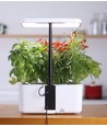 LEDlife hydroponische moestuin - Wit, incl. kweeklamp, 10 plaatsen, timer, 2,8L watertank
