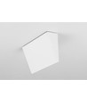 2m aluminiumprofiel WALLE12 BCD - Wit gelakt