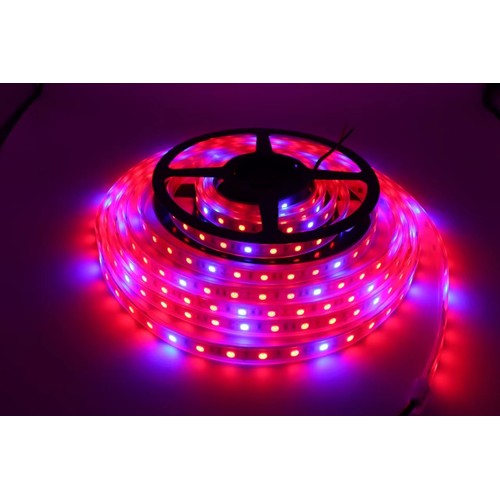 8,5W/m spatwaterdichte groeiledstrip - 5m, 60 LED per meter, 24V DC, IP65