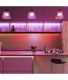 5m 11W/m rood/groen/blauw/geel LED strip - 60 LED per meter, kies kleur