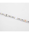 5 meter 12W/m RGB+WW LED-strip - 24V DC, IP20, 60 LED's per meter
