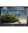 60-75 cm aquarium armatuur - 16W LED, wit/blauw/rood/groen, verstelbare lengte, IP66